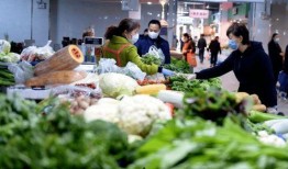 爆料江南买菜视频大全下载,揭秘日常生活中的温馨瞬间