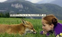 娱乐吃瓜酱狐狸,揭秘娱乐圈背后的那些事儿