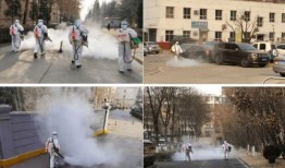 石家庄爆料逆行事件最新