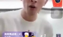 辛巴爆料食品是真的吗视频,揭秘视频背后的真实情况